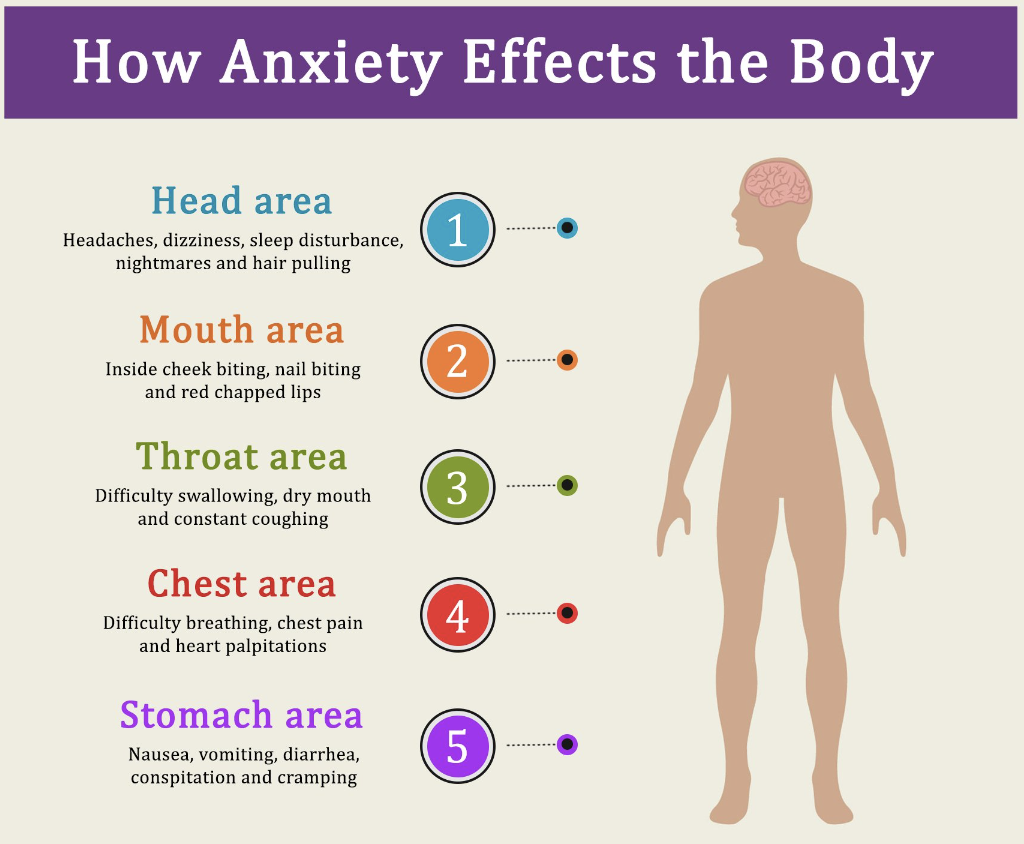 Chart showing the different body zones and the effects of anxiety on these areas of our body.